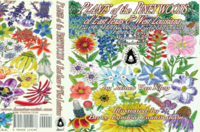 Cover-Image of Book: Plants of the Pineywoods Part1